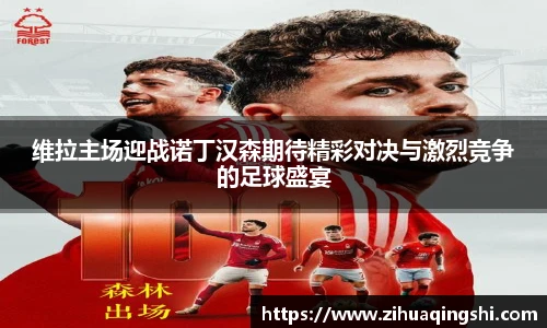 维拉主场迎战诺丁汉森期待精彩对决与激烈竞争的足球盛宴
